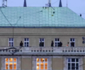 В Чехии объявили день траура из-за гибели 14 человек при стрельбе в Праге